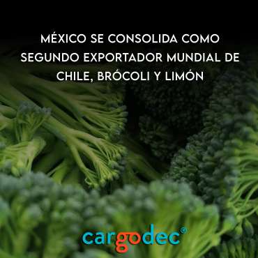 México se consolida como segundo exportador mundial de chile, brócoli y limón