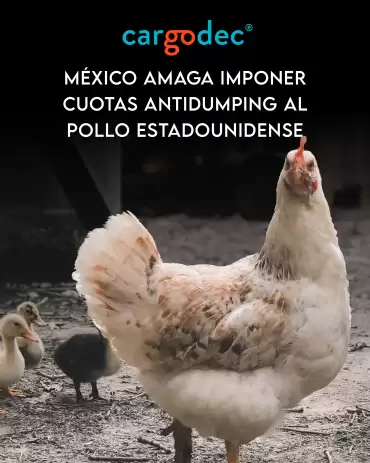 Mexico amaga con imponer cuotas antidumping a pollo estadounidense